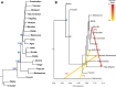 <sc>Fig</sc>. 3.