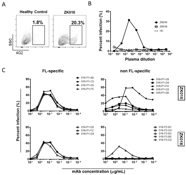 Figure 6