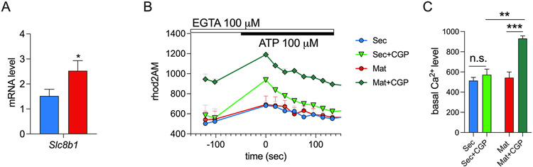 Figure 2: