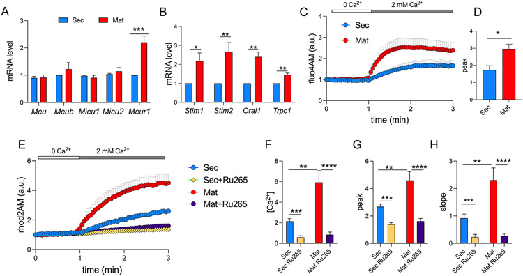 Figure 4: