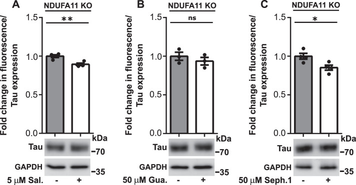 FIGURE 5: