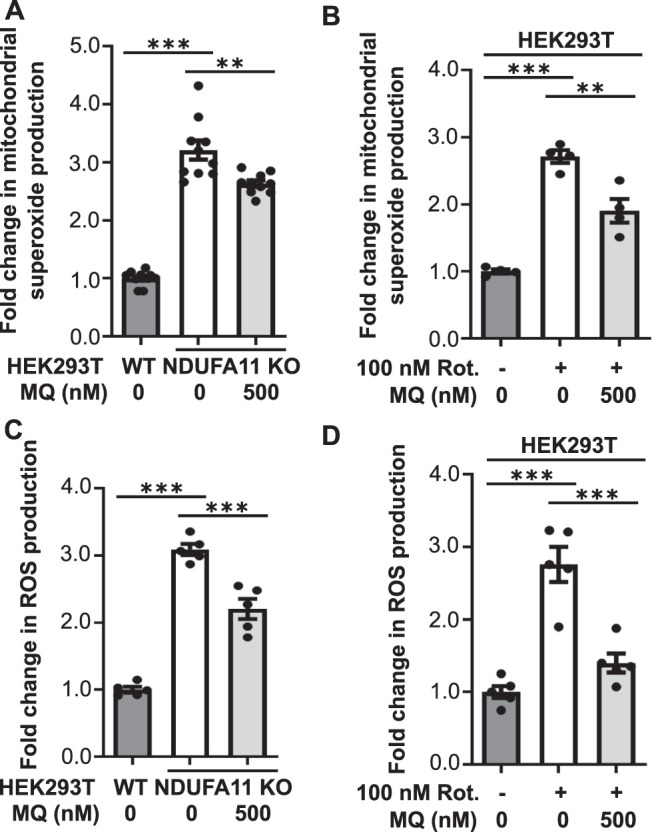 FIGURE 7: