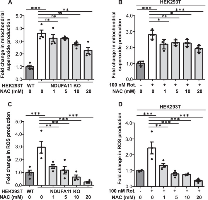 FIGURE 6: