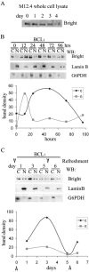 FIG. 6.