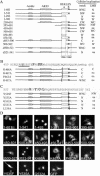 FIG.3.