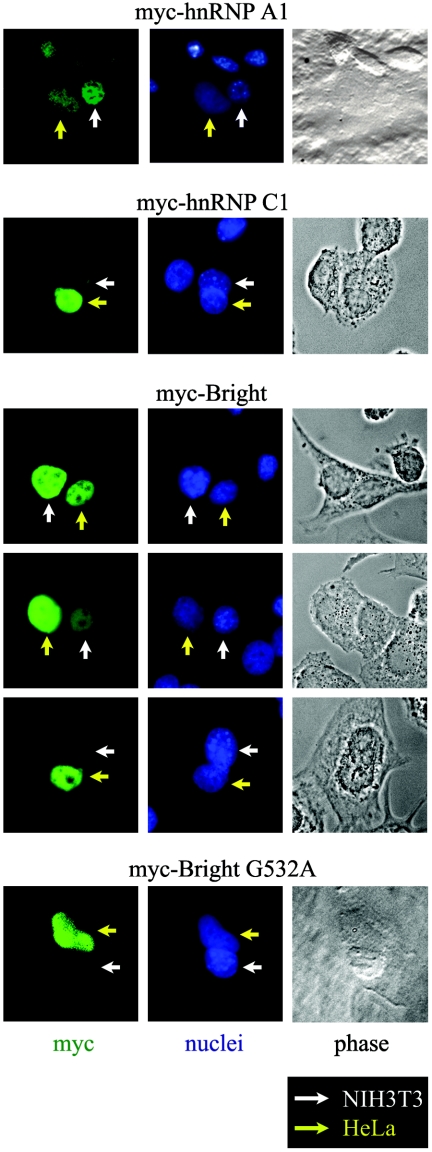 FIG. 4.