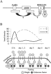 FIG. 9.