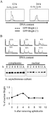 FIG. 7.