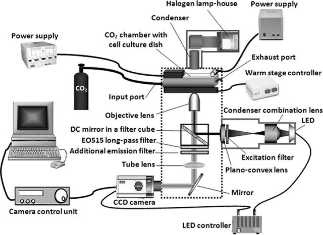 Fig. 1