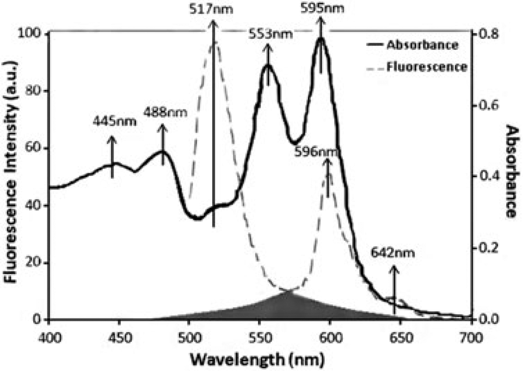 Fig. 3