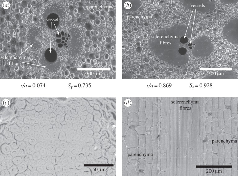 Figure 3.