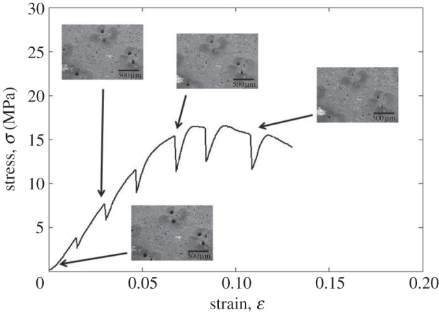 Figure 12.