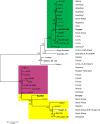 Fig. 2