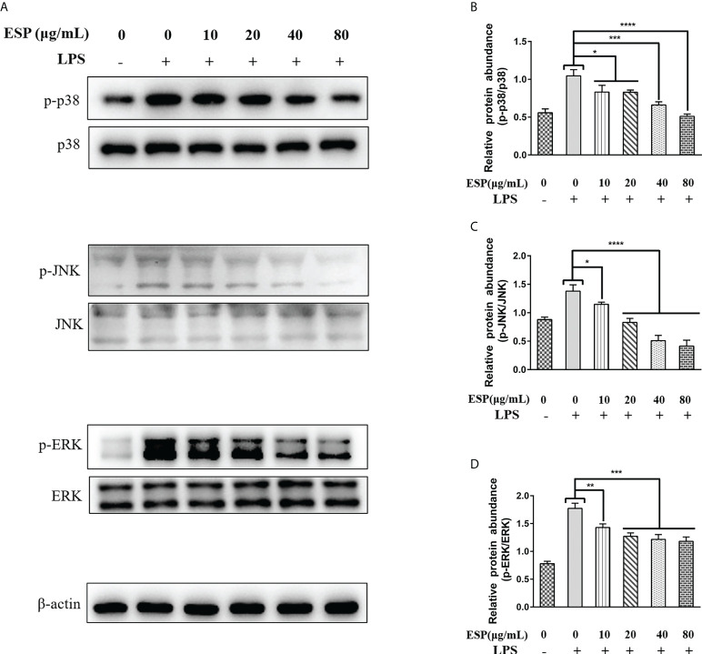 Figure 6