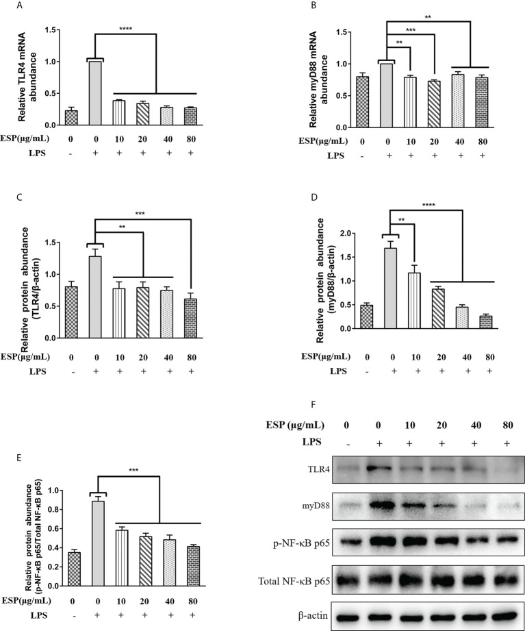 Figure 5