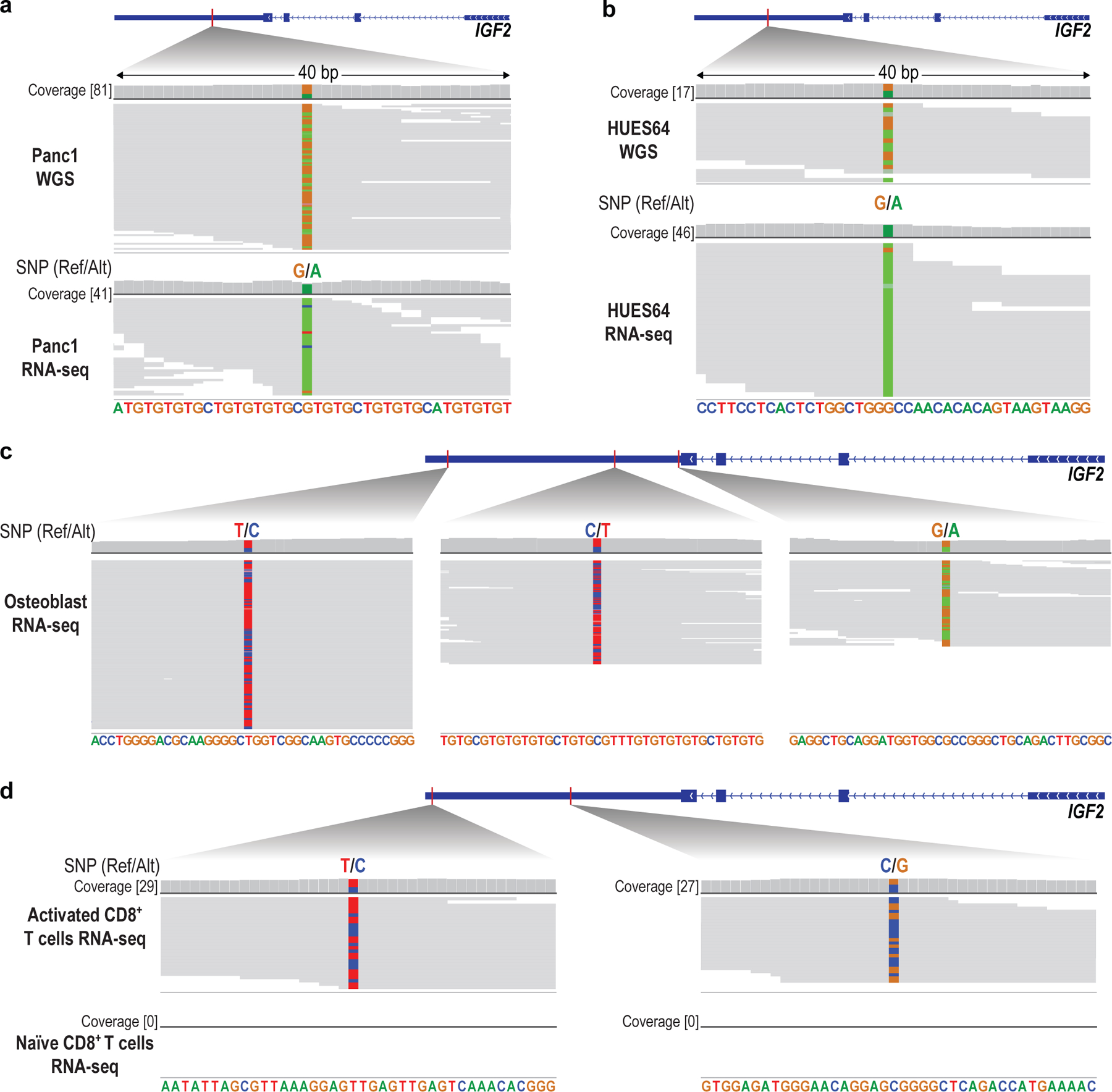 graphic file with name nihms-1922507-f0014.jpg