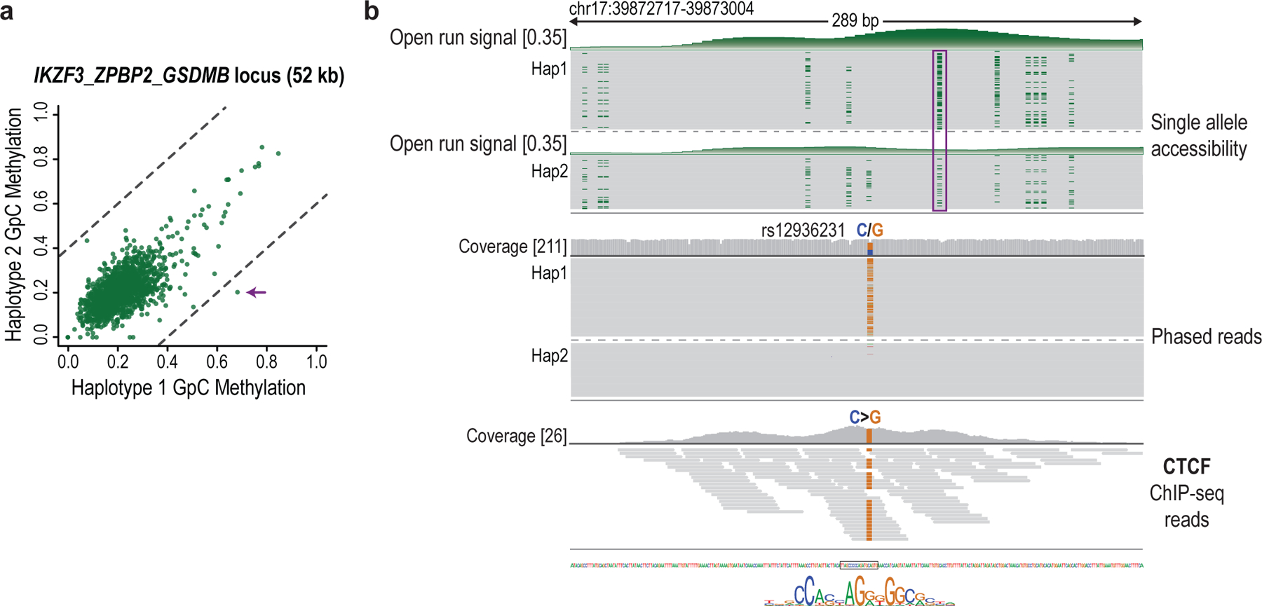 graphic file with name nihms-1922507-f0010.jpg