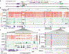 Fig. 4 |