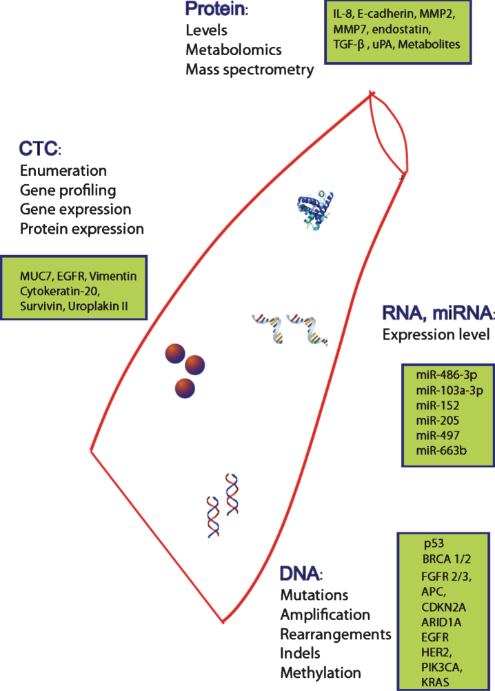 Fig.1