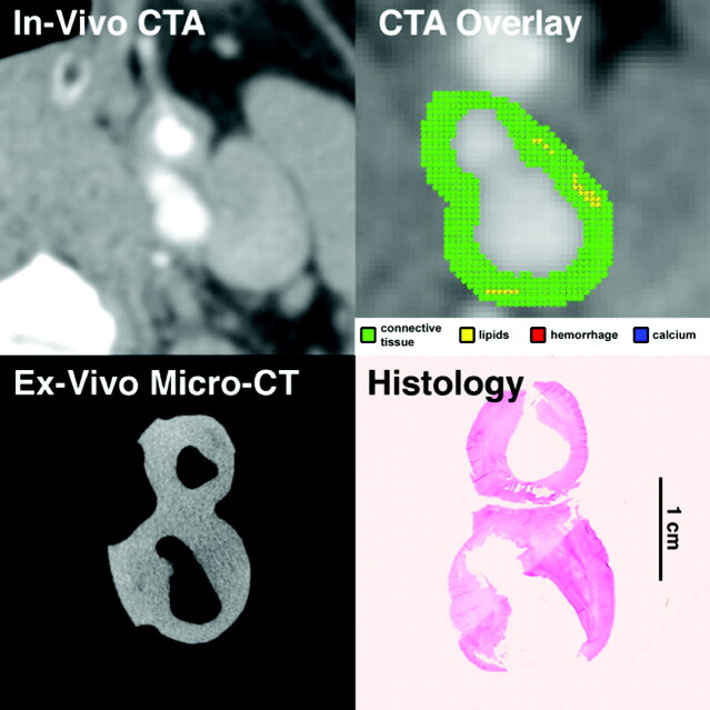 Fig 2.