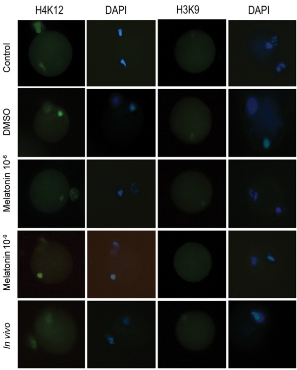 Fig.4