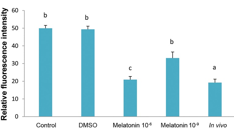 Fig.3