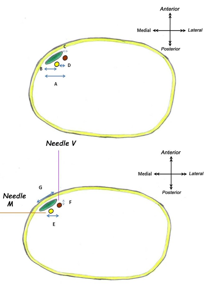 [Table/Fig-3]: