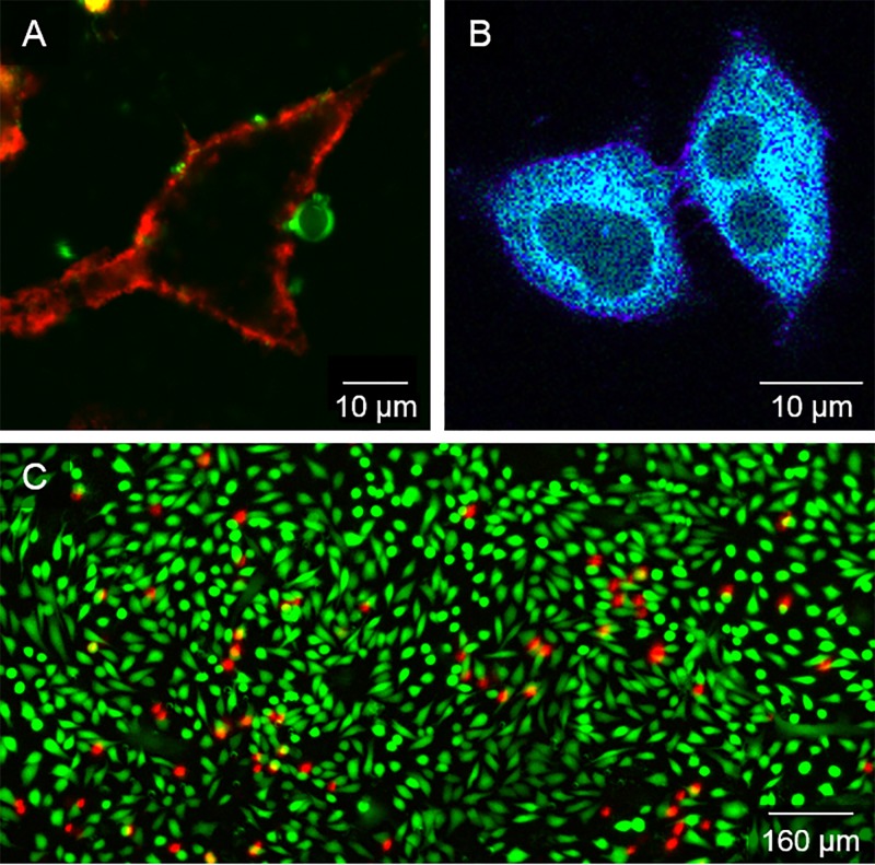 FIG. 6.