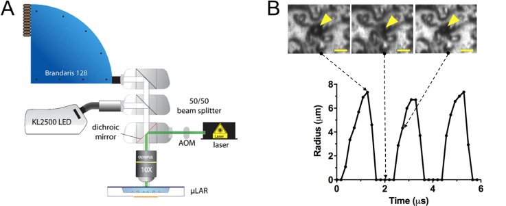 FIG. 3.