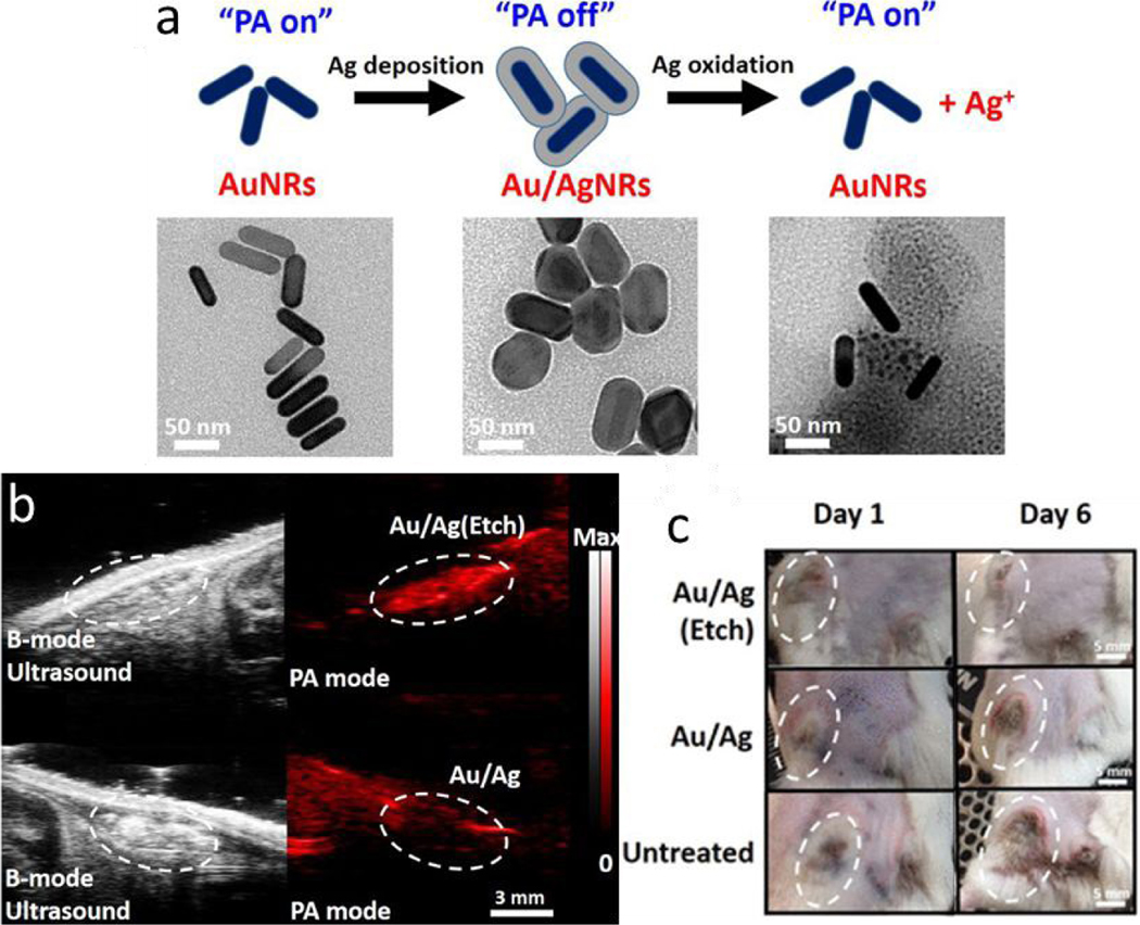 Figure 11.