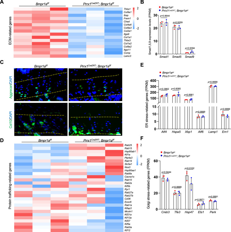 Figure 4—figure supplement 1.