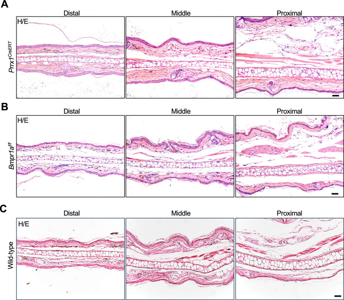 Figure 2—figure supplement 2.