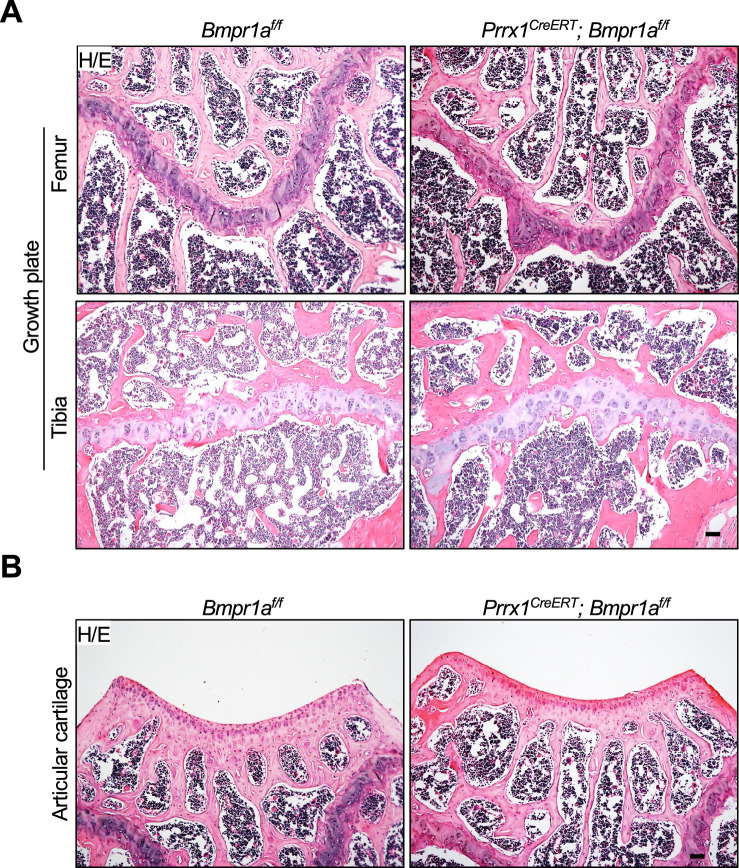 Figure 2—figure supplement 3.