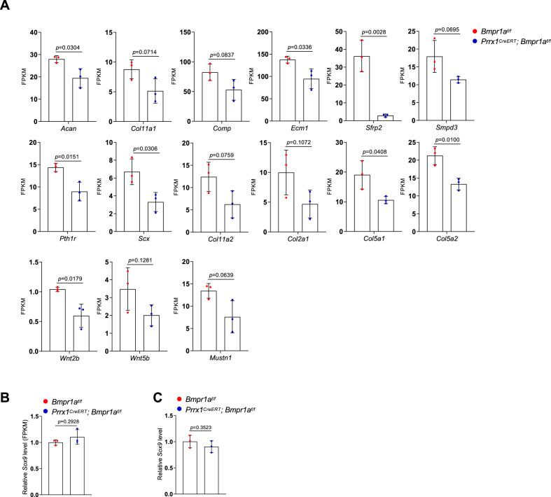 Figure 5—figure supplement 1.