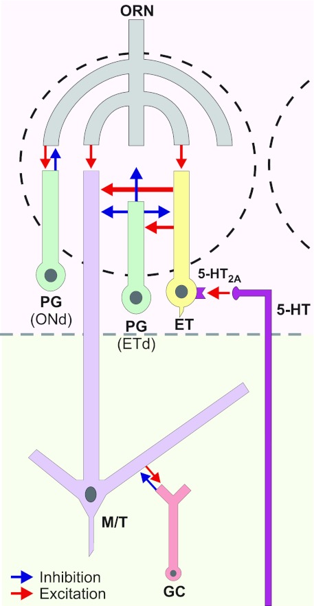 Fig. 7.