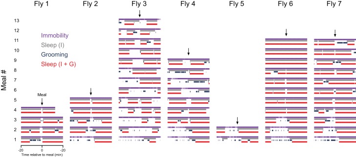 Figure 2—figure supplement 3.