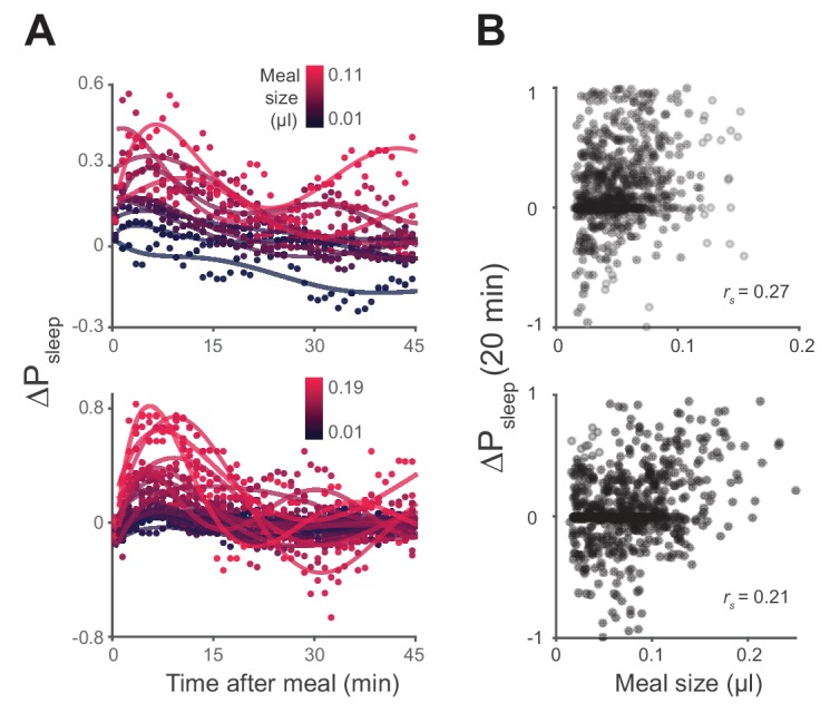 Figure 3—figure supplement 1.