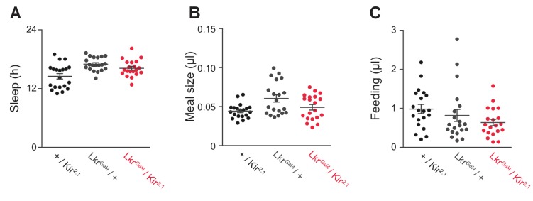 Figure 5—figure supplement 1.