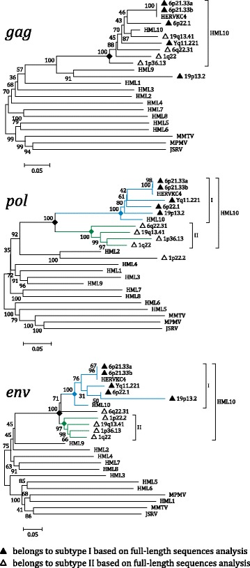 Fig. 8