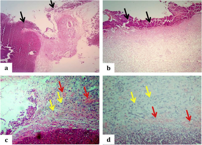 Fig. 7