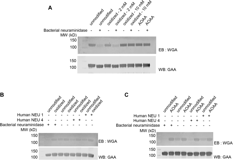 Figure 4