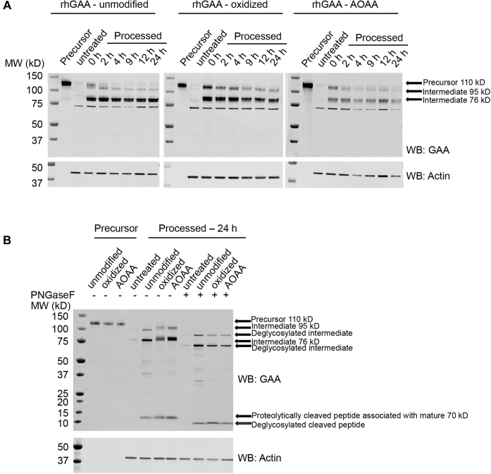 Figure 6