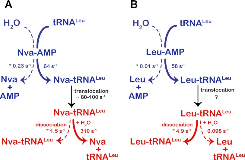 FIGURE 7.