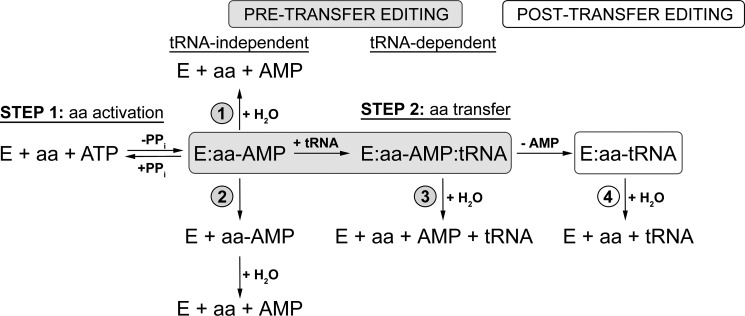 FIGURE 1.