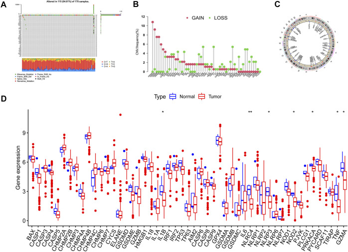 FIGURE 2