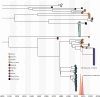 Extended Data Fig. 1