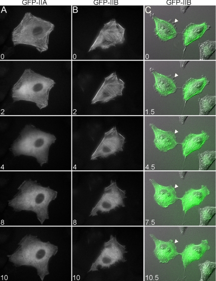 Figure 3.