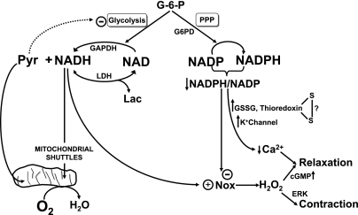 Fig. 2.