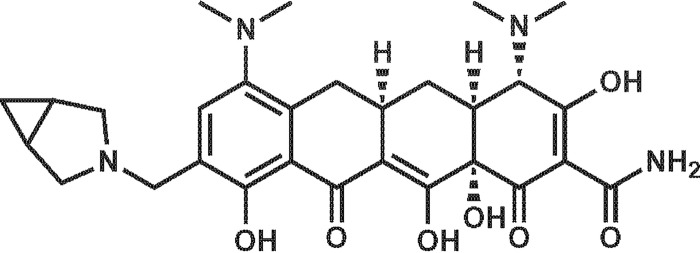 FIG 1