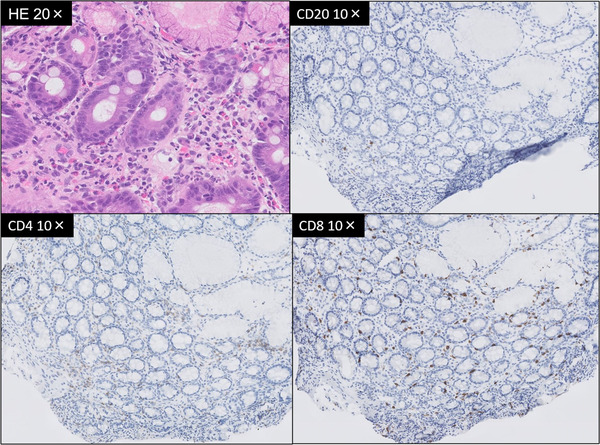 FIGURE 3